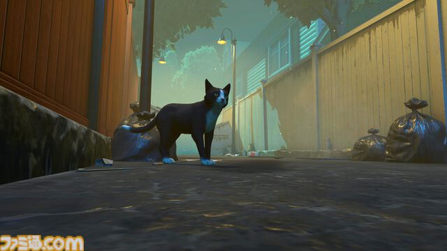 『偽猫物語』がSteamにて9月20日発売決定。猫が“家”の本当の意味を見つけ出す旅に出る、癒やしのアドベンチャーゲーム