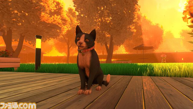 『偽猫物語』がSteamにて9月20日発売決定。猫が“家”の本当の意味を見つけ出す旅に出る、癒やしのアドベンチャーゲーム