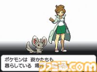 『ポケットモンスター ブラック・ホワイト』が発売された日。ニューヨークがモチーフのイッシュ地方が舞台。赤外線通信に対応して交換・対戦がどこでも可能になった【今日は何の日？】