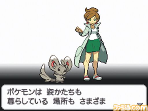 『ポケットモンスター ブラック・ホワイト』が発売された日。ニューヨークがモチーフのイッシュ地方が舞台。赤外線通信に対応して交換・対戦がどこでも可能になった【今日は何の日？】