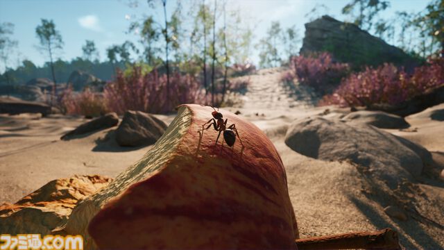 『蟻の帝国-Empire of the Ants』PS5 Proに最適化。壮大な蟻の世界が精密に描かれる。4K/60FPS対応でアクションがより快適に