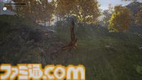 かわいい動物になって村を再興『Hawthorn』Steamストアページ公開。クラフト、農業、探索などで小さな村を発展させるサンドボックスRPG