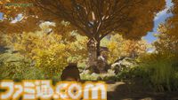 かわいい動物になって村を再興『Hawthorn』Steamストアページ公開。クラフト、農業、探索などで小さな村を発展させるサンドボックスRPG