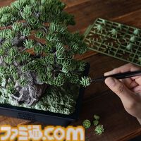 盆栽をBANDAI SPIRITSの最新技術でプラモデル化。吾妻五葉松を精密に再現、お値段3万円