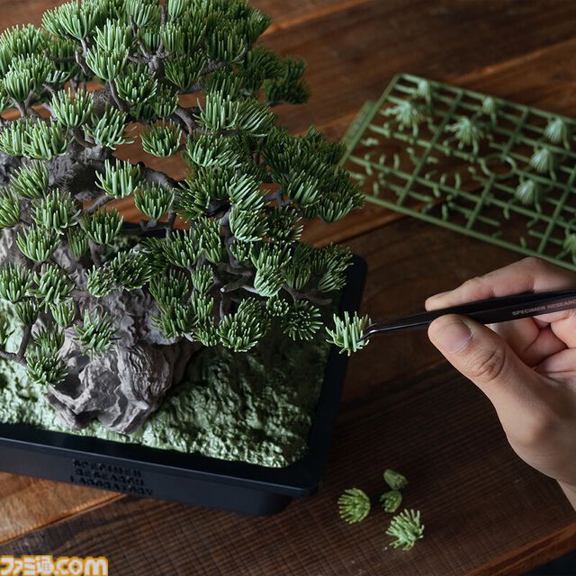 盆栽をBANDAI SPIRITSの最新技術でプラモデル化。吾妻五葉松を精密に再現、お値段3万円