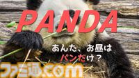 全年齢版『ウーマンコミュニケーション』ゲーム映像公開。隠れワードは「WANKO」「OTTOSEI」など健全的なものに。リリース予定はなし