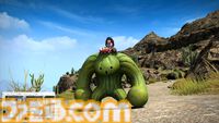 【FF14】第84回PLL最新情報まとめ。パッチ7.1は11月12日に公開へ。“Vana'diel March”からはじまる新トレーラーもお披露目