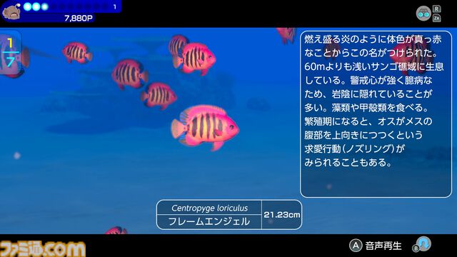 海洋探索ADVシリーズ最新作『フォーエバーブルー ルミナス』が5月2日にSwitchにて発売。潜るたび変化する海では大昔や幻の生き物など500種以上の海洋生物と出会える