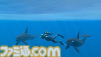 海洋探索ADVシリーズ最新作『フォーエバーブルー ルミナス』が5月2日にSwitchにて発売。潜るたび変化する海では大昔や幻の生き物など500種以上の海洋生物と出会える