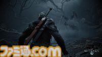 『ウィッチャー4』国内独占インタビュー。主人公をシリに変更した意図、ゲラルトは登場するのか、前作からの進化についてなど、気になることを直撃