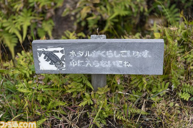 小坂井祐莉絵さん＆山田麻莉奈さんとデートしている気分になれる記事。「福岡イイ」と感じられた『制服カノジョ』聖地巡礼バスツアーリポートを写真盛りだくさんでお届け
