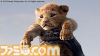 【金曜ロードショー】映画『ライオン・キング』が本日（1月3日）21時から放送！ ディズニーの名作を超実写版と銘打って3DCGで制作。リアルなサバンナと動物たちの姿は圧巻！