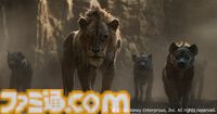 【金曜ロードショー】映画『ライオン・キング』が本日（1月3日）21時から放送！ ディズニーの名作を超実写版と銘打って3DCGで制作。リアルなサバンナと動物たちの姿は圧巻！