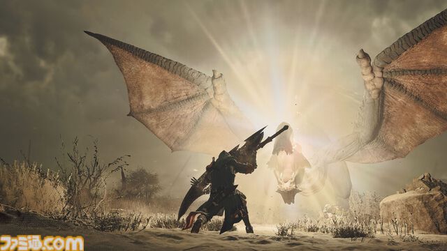 『モンハンワイルズ』第2回オープンベータテストが2月7日～10日、14日～17日に開催決定。ゲリョスの狩猟が体験できる！