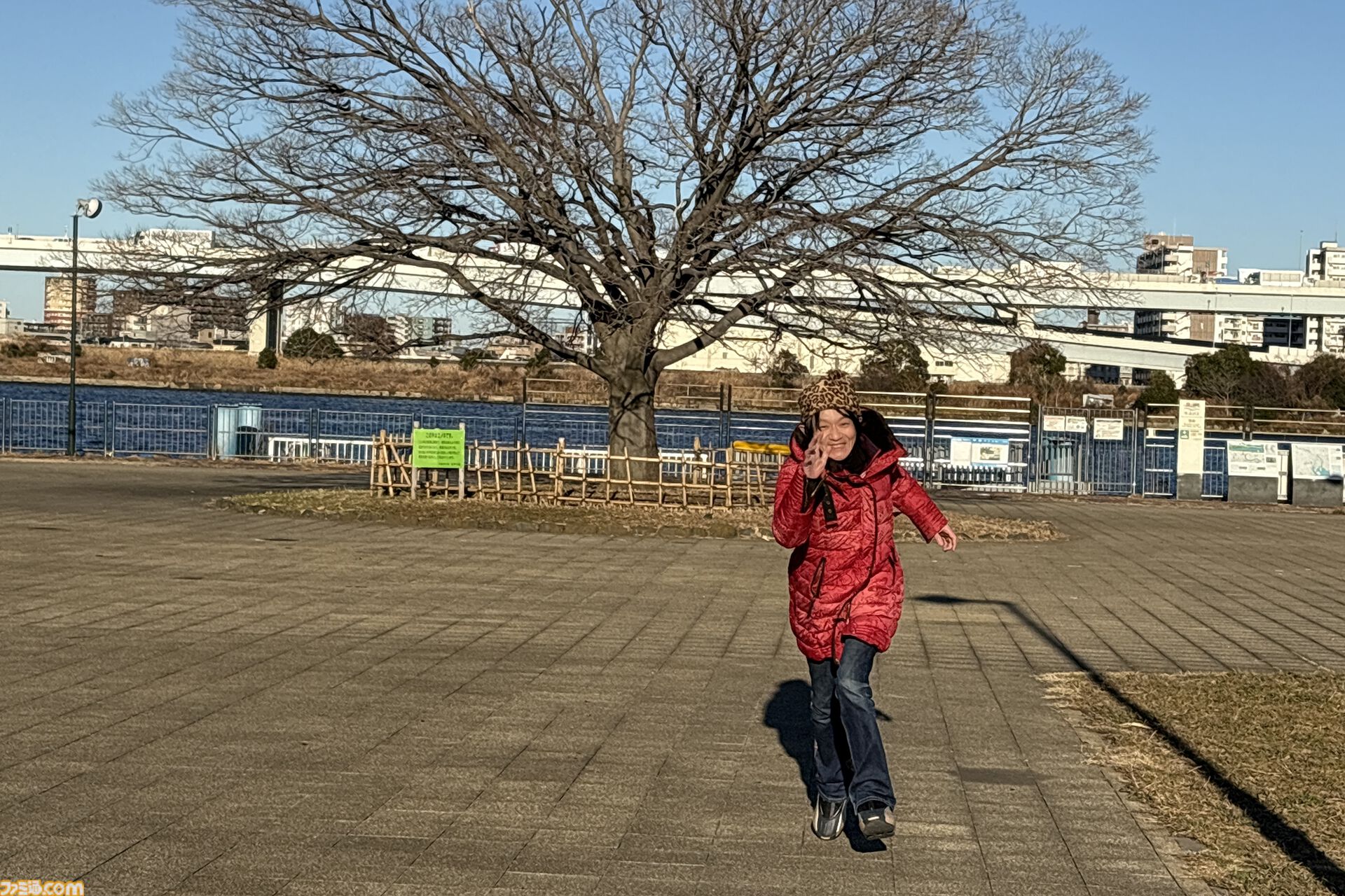 『運任せの召喚士』電車の駅ですごろくをすると楽しい。プレイ結果をさいころ代わりに東京・平井や遠くに行くし名物グルメも食べる。