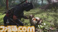 『アサシン クリード シャドウズ』レビュー。ダブル主人公にしたことでストーリーはもちろん、アクションやステルスの厚みがアップ。姫路城からの眺望も最高