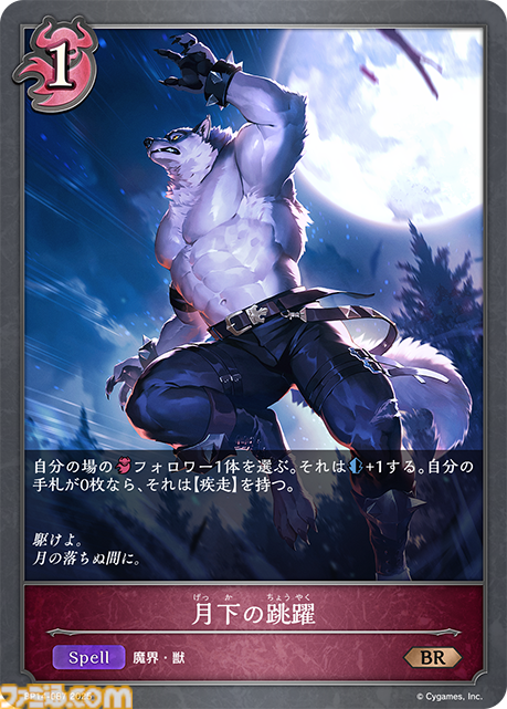 夢幻の饗宴 ナイトメア LG以下 3コン 19種 57枚 シャドウバースエボルヴ ブースターパック第14弾「夢幻の饗󠄀宴」 | PRODUCTS | Shadowverse