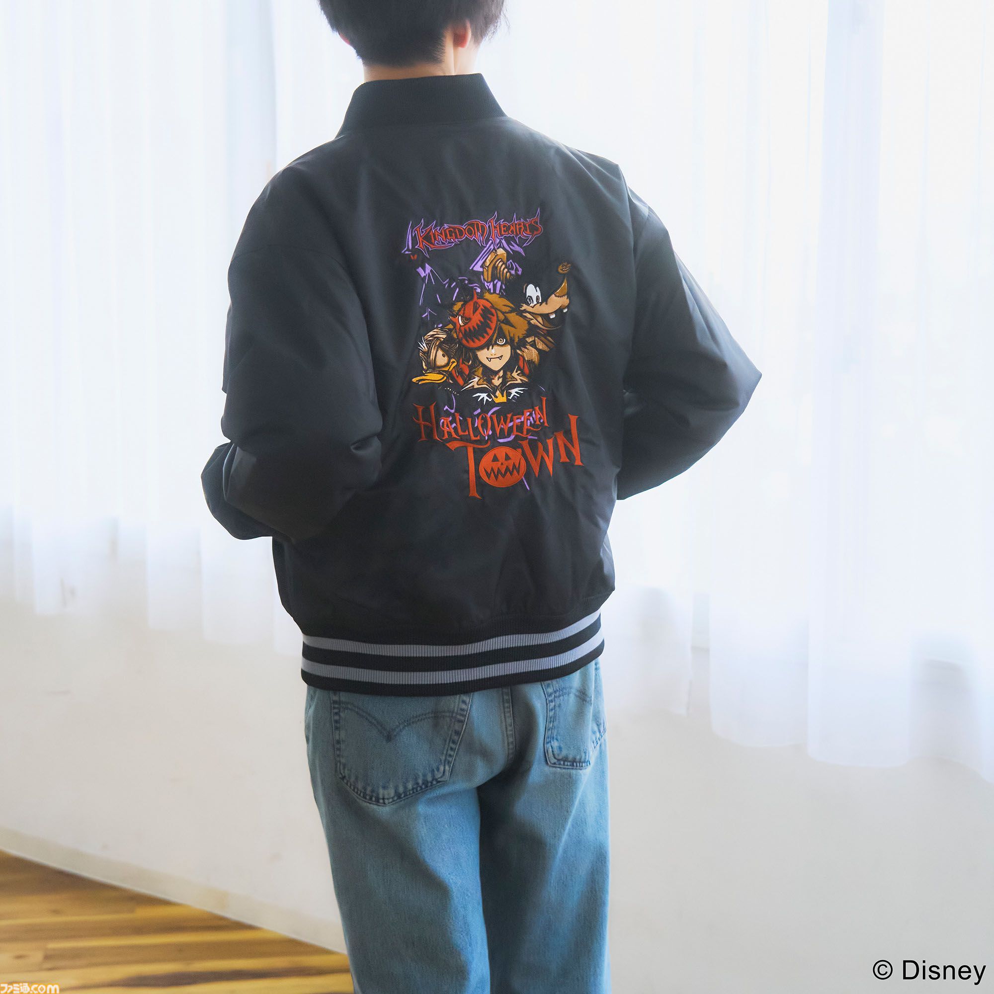 キングダム ハーツ』ハロウィンタウンのソラ、ドナルド