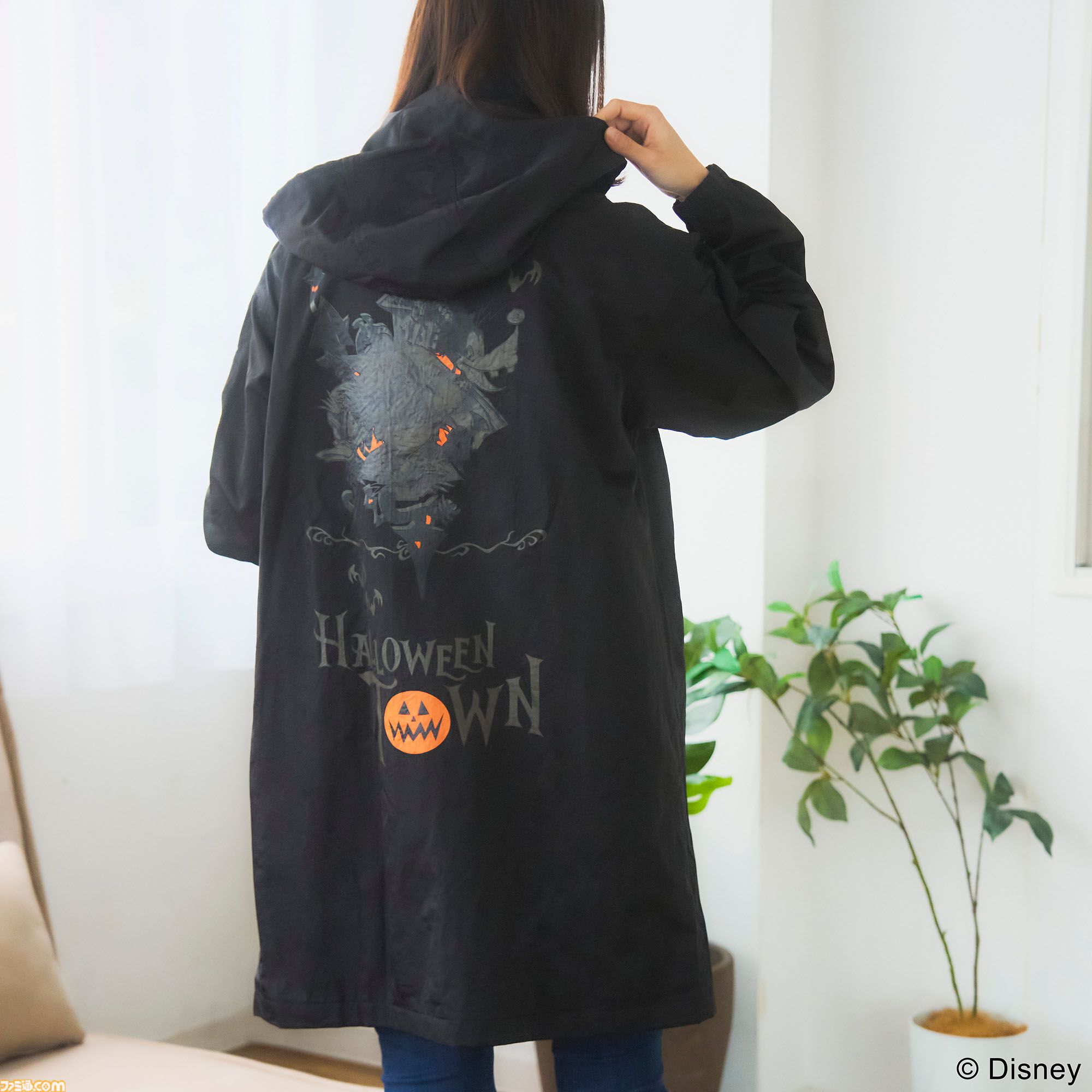 キングダム ハーツ』ハロウィンタウンのソラ、ドナルド