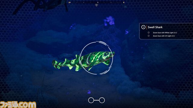 『Beyond Blue』Epic Gamesストアで無料配布。美しい海を心ゆくまで満喫できるアドベンチャー。魚やクジラと泳ぎながら海洋調査【2月14日1時まで】