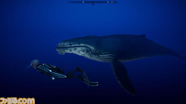 『Beyond Blue』Epic Gamesストアで無料配布。美しい海を心ゆくまで満喫できるアドベンチャー。魚やクジラと泳ぎながら海洋調査【2月14日1時まで】