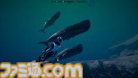 『Beyond Blue』Epic Gamesストアで無料配布。美しい海を心ゆくまで満喫できるアドベンチャー。魚やクジラと泳ぎながら海洋調査【2月14日1時まで】