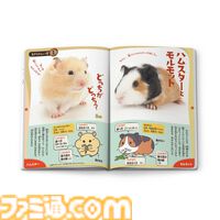 【マクドナルド】ハッピーセットに“ポケピース”＆“ポケモンフレンダ”が登場。フレンダピックやオリジナルブックつきセットが2月14日発売