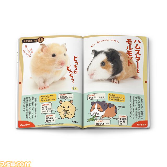 【マクドナルド】ハッピーセットに“ポケピース”＆“ポケモンフレンダ”が登場。フレンダピックやオリジナルブックつきセットが2月14日発売