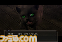 人気投票企画『アトラスねこの日総選挙』開催。『ペルソナ5』モルガナ、『デビルサマナー葛葉ライドウ』ゴウトなど17体がエントリー