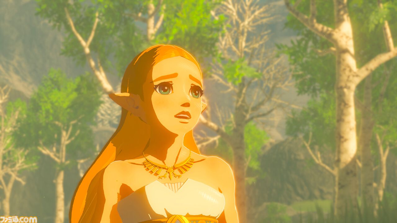 Amazon.co.jp: ゼルダの伝説 ブレス オブ ザ ワイルド : ゲーム
