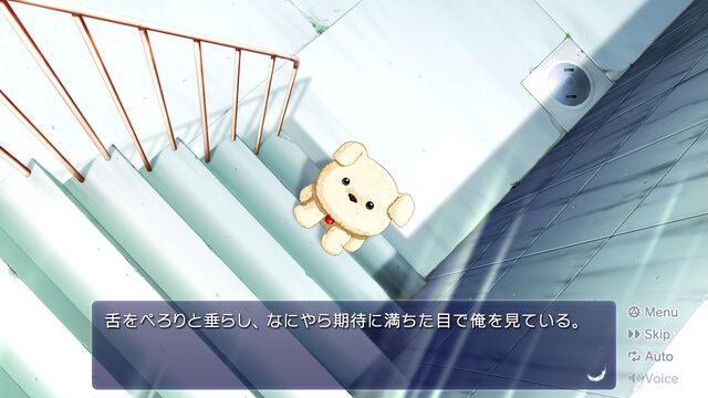 『AIR』Steam版が本日（3/5）配信開始。名作“泣きゲー”として人気を博すKeyの恋愛アドベンチャー。3月19日まで10%オフで購入できる