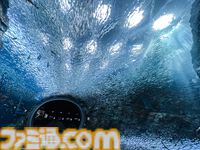 『ハイキュー!!』と上越市立水族博物館うみがたりがコラボイベント開催。オリジナルボイスや特別展示で日向や影山と一緒に水族館を巡れる