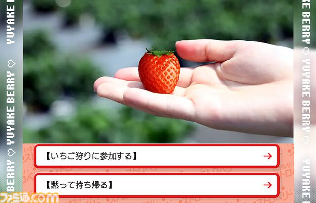 『いきなりストロベリー』突如始まる“ふくしまいちご”との甘酸っぱい恋愛シミュレーション。王道ヒロイン“ゆうやけベリー”、優等生タイプ“ふくはる香”、ボクっ娘“ふくあや香”を攻略しよう