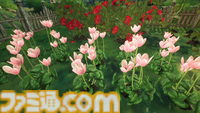 『ガーデンライフ:夢の庭をつくろう』レビュー。植物の成長をリアルに再現したこだわりに注目。ひとつとして同じ花は咲かないからこそ、儚くて美しい