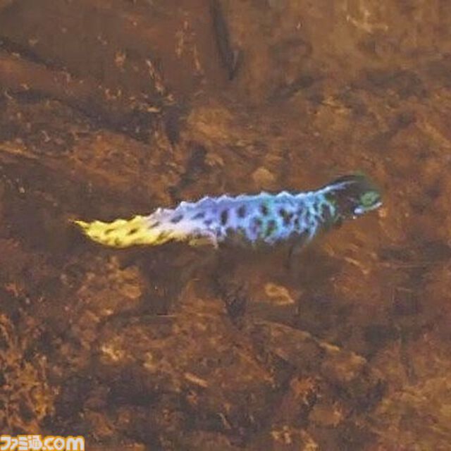 『モンハンワイルズ』スナノリュウセイやフワフワクイナが見つからない方必見！ レア環境生物探しのカギは設定にあり【プレイ日記】
