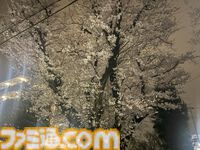 『A Passing in the Night』奇妙で不気味な“夜の散歩”に出掛けよう。現実と悪夢が混ざり合うオカルティック3Dアドベンチャー【TIGS2025】