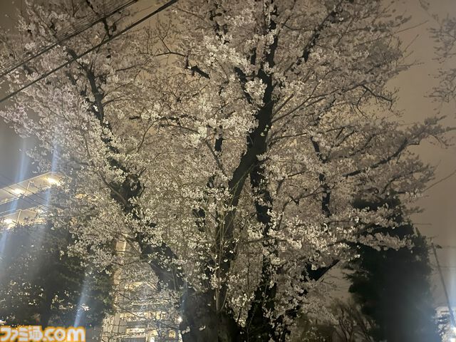 『A Passing in the Night』奇妙で不気味な“夜の散歩”に出掛けよう。現実と悪夢が混ざり合うオカルティック3Dアドベンチャー【TIGS2025】