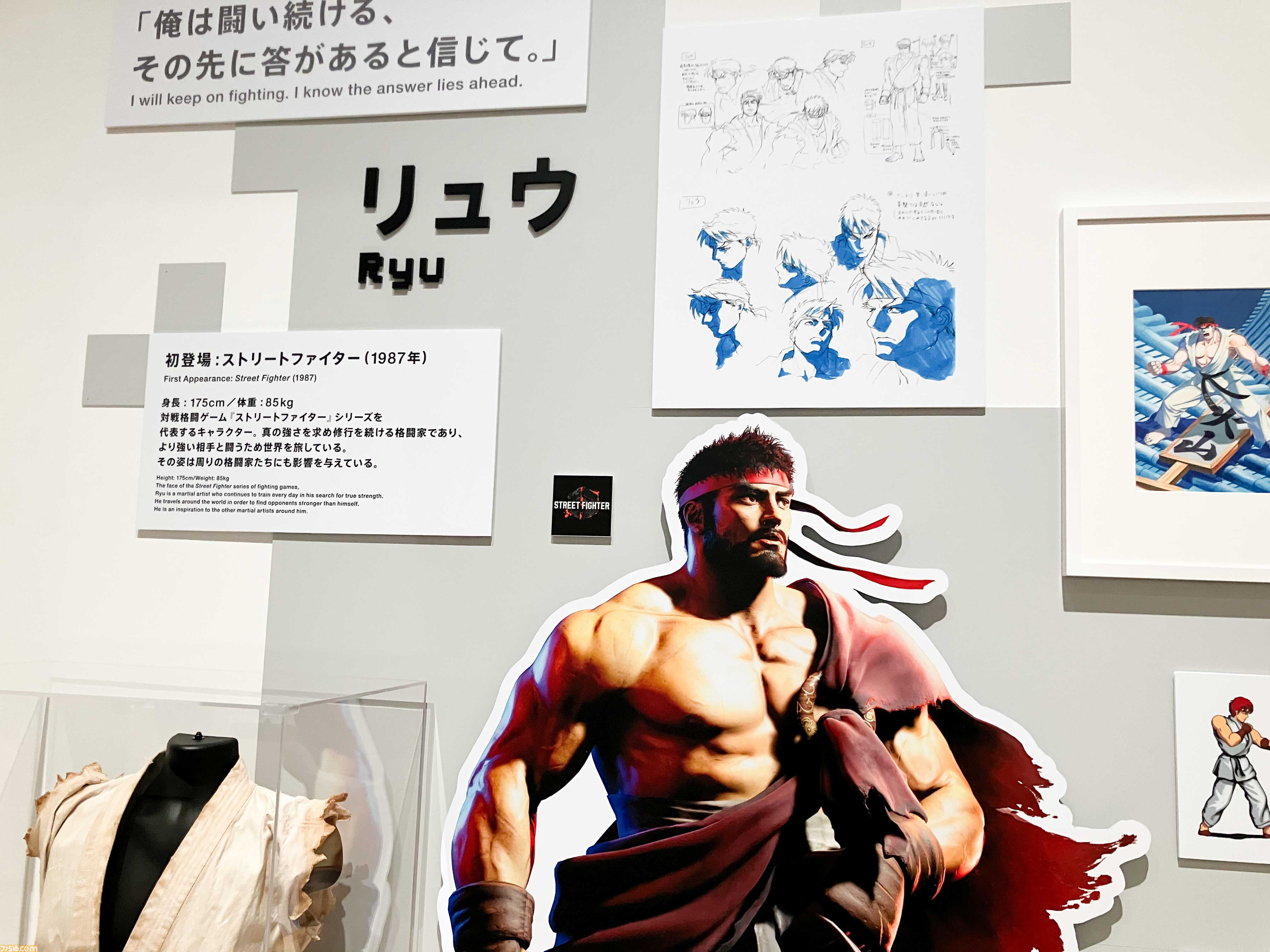 リュウ 波動拳 Wポケットファイル 大カプコン展 ストリート