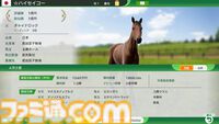 『ウイニングポスト10 2025』レビュー。将来有望な牝系探しやレース時の作戦選択が楽しすぎて時間が足りないと嘆きつつ、そこかしこから洩れ出ている制作陣の競馬愛にニヤニヤ