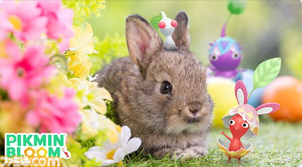 ピクミン ブルーム』うさぎエッグ再来!! かわいいから絶対コンプして