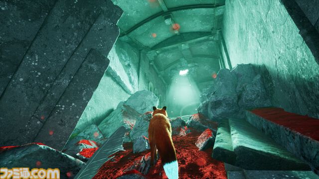 キツネになって北欧世界を旅するアクションアドベンチャー『Spirit of the North 2』の発売日が5月8日に決定