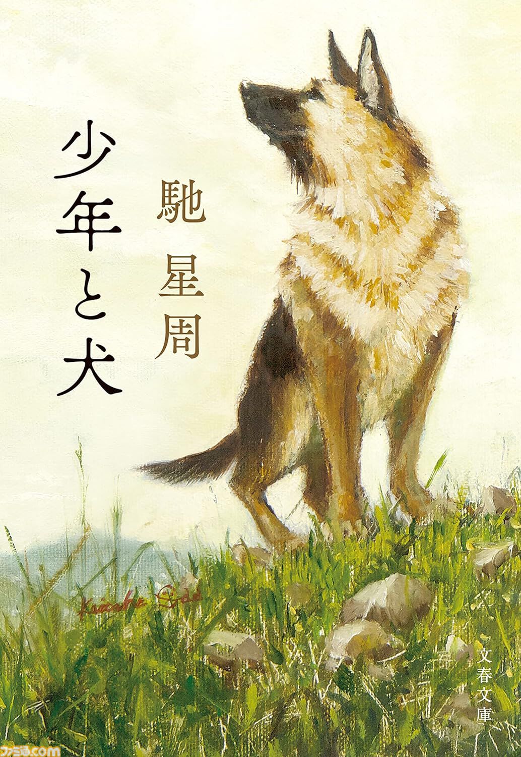 【Kindleで51％ポイント還元】『竜馬がゆく』『ラピスの心臓』『容疑者Xの献身』『火花』『コンビニ人間』など文藝春秋作品が実質半額でお買い得