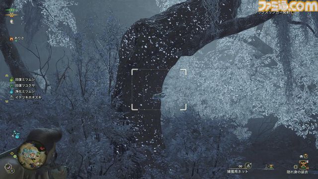 修行僧の『モンハンワイルズ』：楽しいのは狩猟だけじゃない！ 大の大人がカブトムシを捕まえて大喜びした話【ブログ第4回】