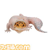 一番くじ“爬虫類＆両生類”でアメフクラガエルのキュートなおしりクッションが登場、もちもちの質感に癒される。本日（4/11）よりローソンなどで発売