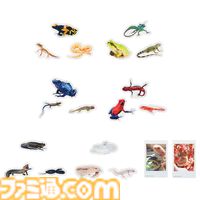 一番くじ“爬虫類＆両生類”でアメフクラガエルのキュートなおしりクッションが登場、もちもちの質感に癒される。本日（4/11）よりローソンなどで発売