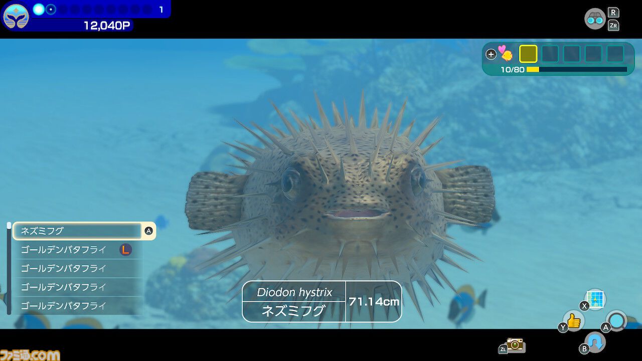 『フォーエバーブルー ルミナス』レビュー。海の生物たちの雄大さに感動&興奮、ダイバー仲間との一期一会の“ゆるい連帯感”に温かい気持ちになれるヒーリング・ゲーム
