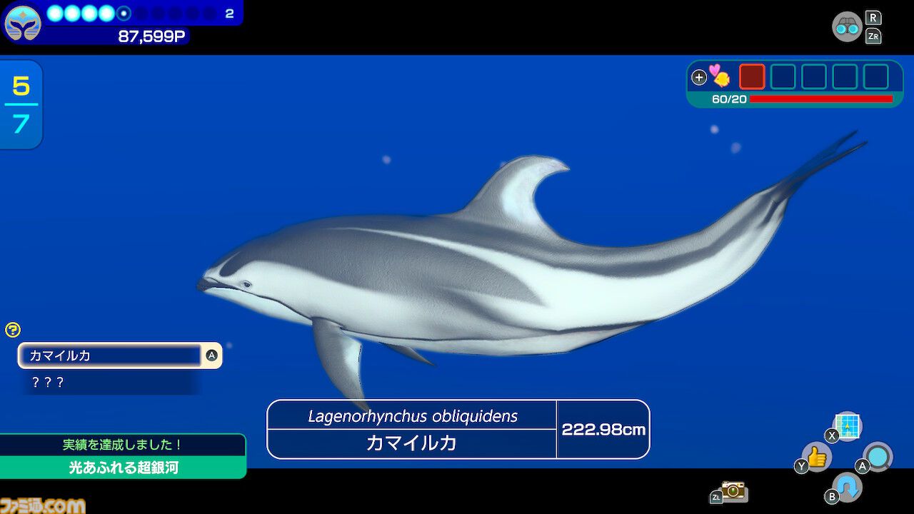 『フォーエバーブルー ルミナス』レビュー。海の生物たちの雄大さに感動&興奮、ダイバー仲間との一期一会の“ゆるい連帯感”に温かい気持ちになれるヒーリング・ゲーム
