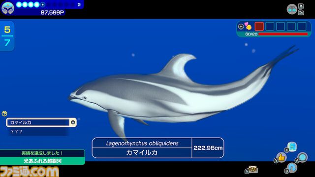 『フォーエバーブルー ルミナス』レビュー。海の生物たちの雄大さに感動&興奮、ダイバー仲間との一期一会の“ゆるい連帯感”に温かい気持ちになれるヒーリング・ゲーム