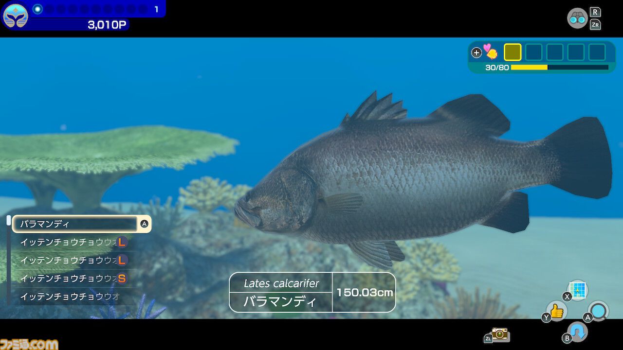 『フォーエバーブルー ルミナス』レビュー。海の生物たちの雄大さに感動&興奮、ダイバー仲間との一期一会の“ゆるい連帯感”に温かい気持ちになれるヒーリング・ゲーム