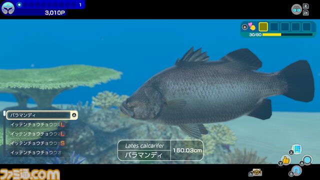 『フォーエバーブルー ルミナス』レビュー。海の生物たちの雄大さに感動&興奮、ダイバー仲間との一期一会の“ゆるい連帯感”に温かい気持ちになれるヒーリング・ゲーム